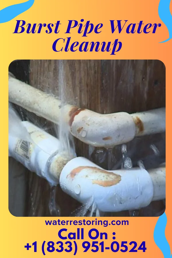 Burst Pipe Water Cleanup in Chapmanville, WV