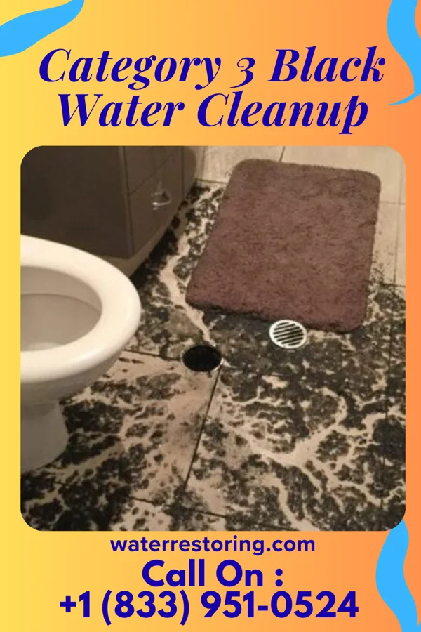 Category 3 Black Water Cleanup in Chapmanville, WV