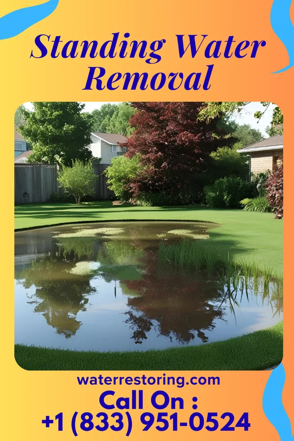 Standing Water Removal in Chapmanville, WV